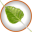 bodhilinux.com