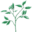 bonemarrow.org