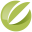 bonnaturaloils.co.za