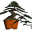 bonsai.asn.au
