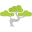 bonsai.llc