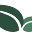 bonsaigardener.org