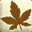 bonsainut.com