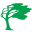 bonsaitree.co.za