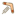 boomerang-evolution.com