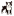 bostonbull.de