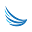 bostonroadrunners.org