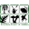botany.org