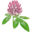 botsady.ru