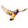 bpsoftware.net