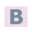 bracuniversity.net