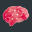 brain-networks.fr