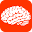 braincities.co