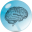 brainclinics.com