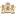 braininternational.org