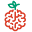 brainshop.pl