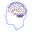 brainsurgeon.net.au