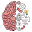 braintestanswers.com
