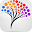 brainturk.com