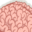 brainz.org