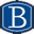 bramainc.com