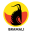 bramali.com