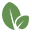 branchcms.com