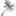braunishorio.com