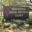 bridgewaterumc.org