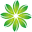 brightleafgroup.com
