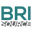 brisource.com
