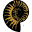 britishfossils.co.uk