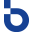 bronine.com