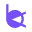 brosvision.com