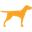 bruji.com