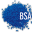bsamouldings.co.uk