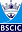 bsc-icc.com