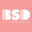 bsd.com.pl
