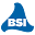 bsiusa.com