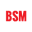 bsmotoring.com