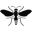 btlbooks.com