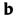 bucky.com