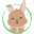 buddy.bg