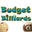budgetcues.com