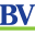 buenavistascooters.com