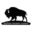 buffaloholisticcenter.com