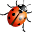 bugs.co.il