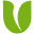 bulbi.nl