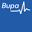 bupaglobal.com