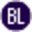 burnslev.com